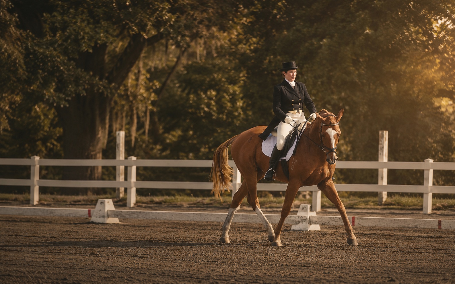 Laura riding a dressage test at golden hour