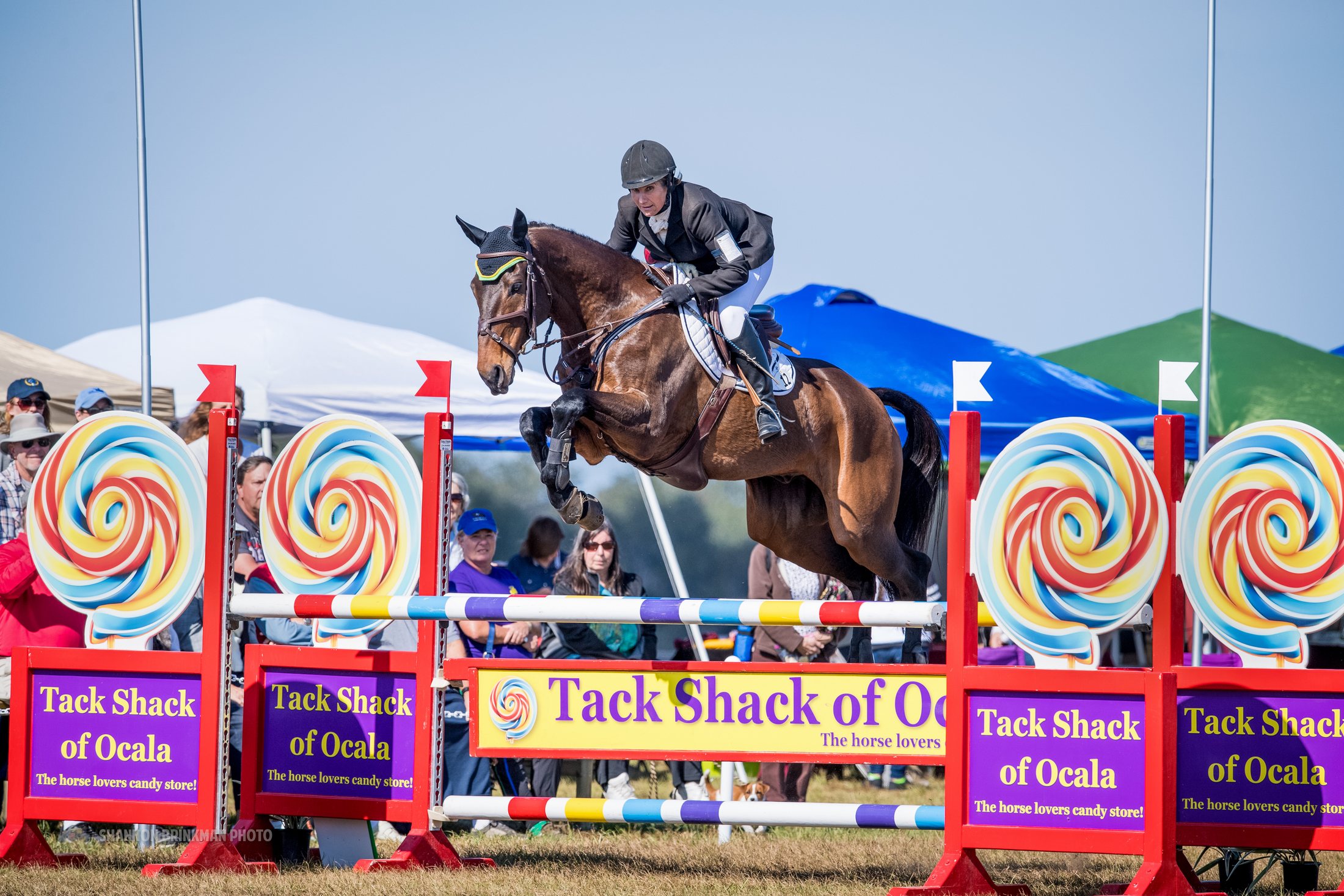 Laura VanderVliet show jumping in competition