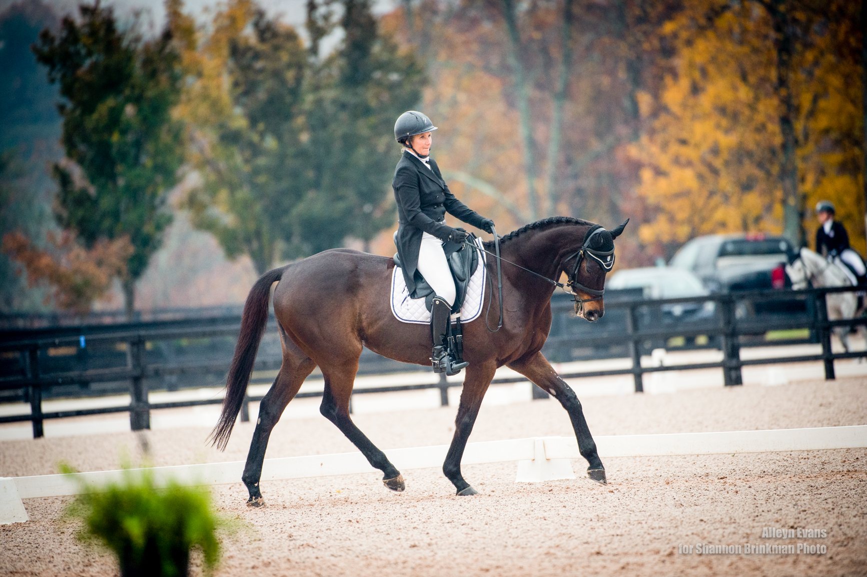 Laura VanderVliet riding a dressage test in the arena